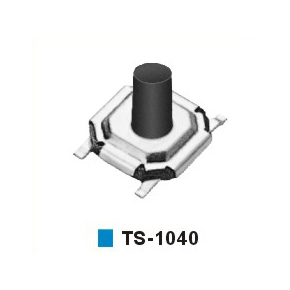 TS-1040