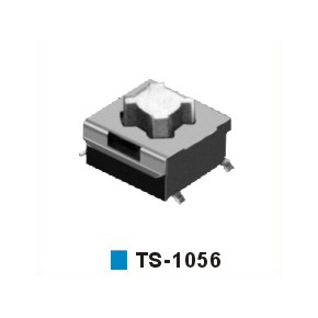 TS-1056