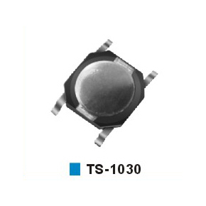 TS-1030