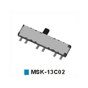 MSK-13C02