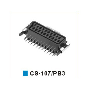 CS-107/PB3