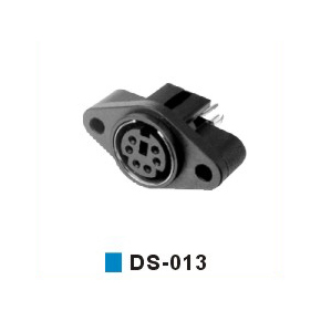 DS-013