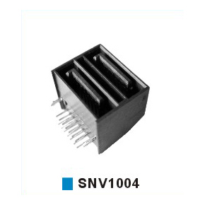 SNV1004