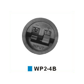 WP2-4B