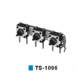 TS-1096