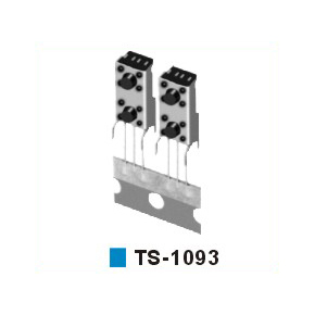 TS-1093