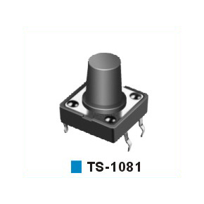 TS-1081