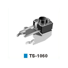 TS-1060