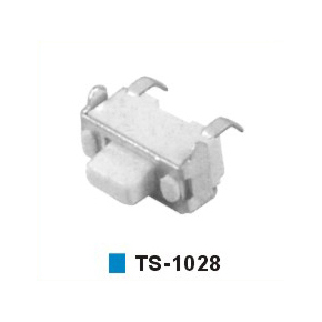 TS-1028