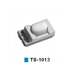 TS-1013