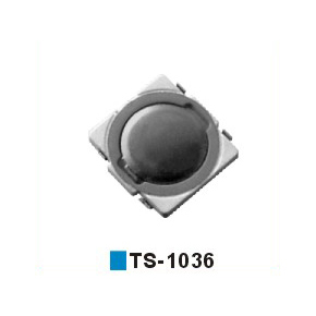 TS-1036