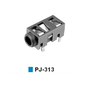 PJ-313