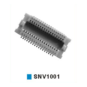SNV1001