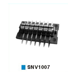 SNV1007